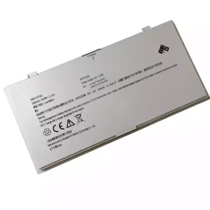 Bateria do PZ 306011411501 306011411502